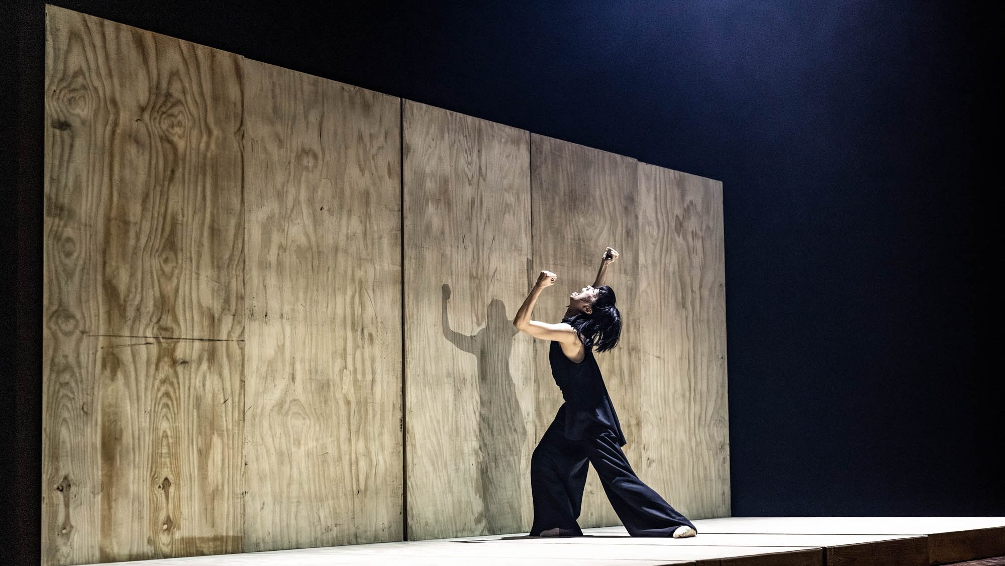 古希腊悲剧《安蒂冈妮》改编舞作|跨越三千年的命运抗衡